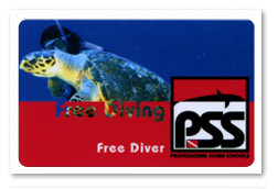 Free Diver Kurs